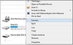 format raw disk