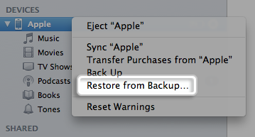 restore from backup in iTunes