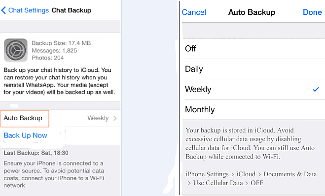 automatically backup whatsapp messages
