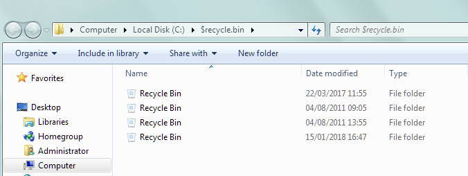 recycle bin files